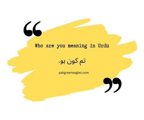 who are you meaning in urdu|best meaning in urdu.